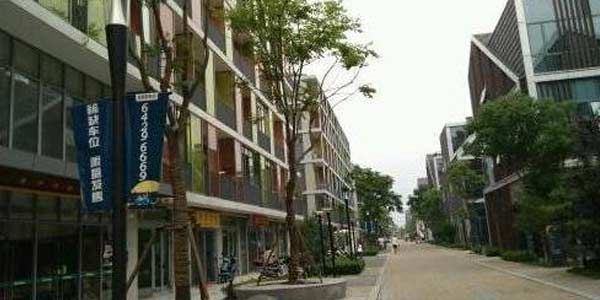 校区