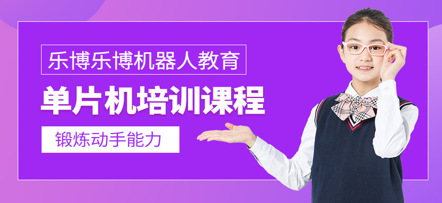 乐博乐博单片机课程