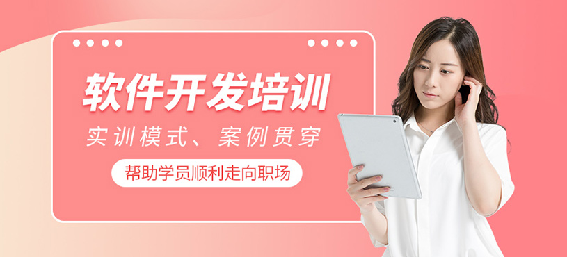 软件开发培训