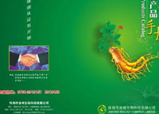 广州广美教育Photoshop图像处理特训班学员作品六