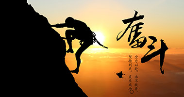 产品效果