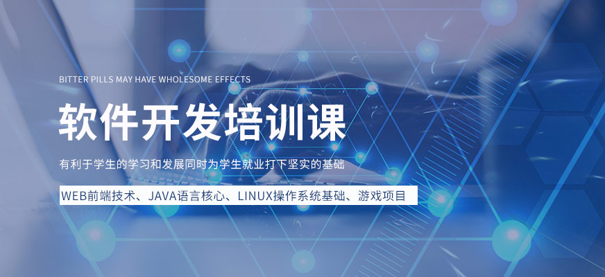软件开发培训