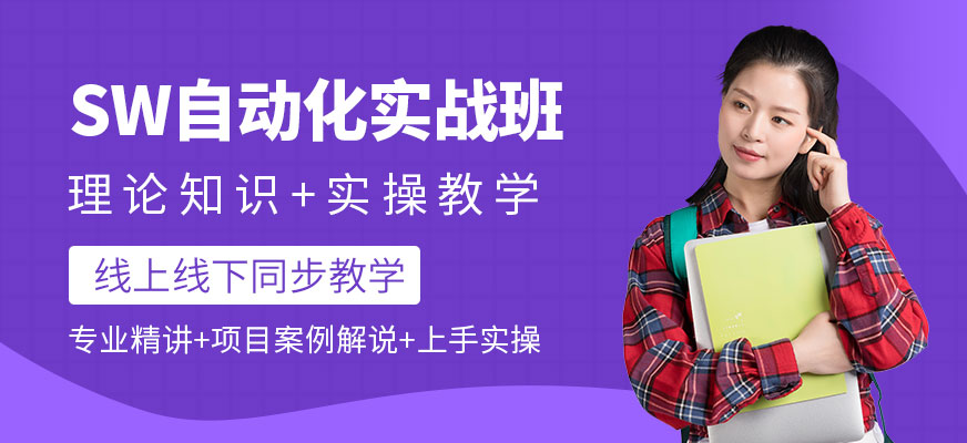 SW实战培训