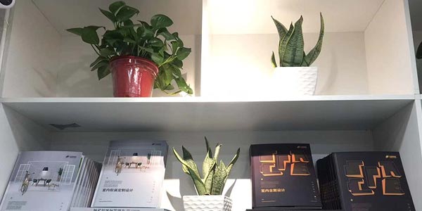 校区一角