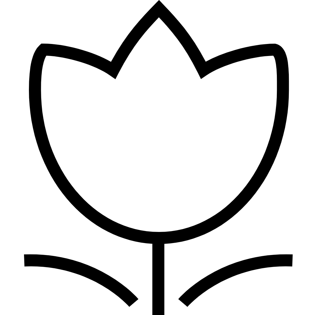 鲜花蛋糕