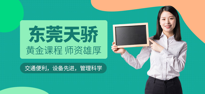 东莞天骄电脑