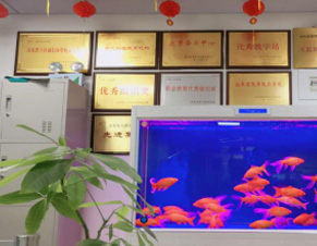 荣誉展示