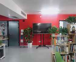 活动区域
