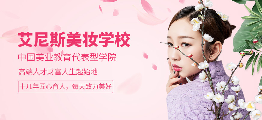 艾尼斯学校